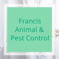 10 Best Pest Control Services In Minneapolis Mn Exterminators