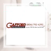 11 Best Pest Control Companies In Lubbock Tx Exterminators