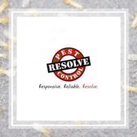 11 Best Pest Control Companies In Anderson Sc Exterminators