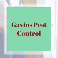 10 Best Pest Control Services In Kennesaw Ga Exterminators