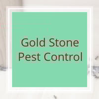 11 Best Pest Control Companies In Little Rock Ar Exterminators