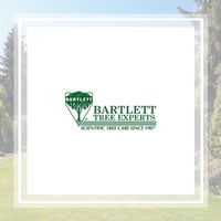10 Best Tree Care Services In Spring Tx 2021 Trimming Removal More