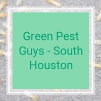 10 Best Pest Control Services in Richmond, TX | Exterminators