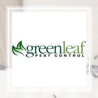 10 Best Pest Control Services In Surprise Az Exterminators