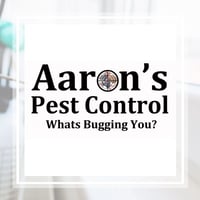 11 Best Pest Control Companies In Venice Fl Exterminators