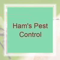 11 Best Pest Control Companies In Pensacola Fl Exterminators