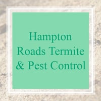 10 Best Pest Control Services In Chesapeake Va Exterminators