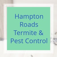 11 Best Pest Control Companies In Smithfield Va Exterminators