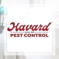 11 Best Pest Control Companies In Birmingham Al Exterminators