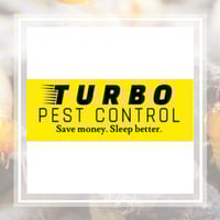 11 Best Pest Control Companies In Odessa Fl Exterminators