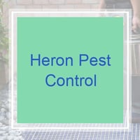 10 Best Pest Control Services in Leesburg, FL | Exterminators