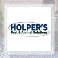 21 Best Pest Control Services In Saint Louis Mo Exterminators