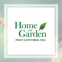 11 Best Pest Control Companies In Delray Beach Fl Exterminators