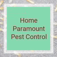 11 Best Pest Control Companies In New Castle De Exterminators