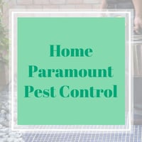 11 Best Pest Control Companies In Gaithersburg Md Exterminators