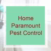 11 Best Pest Control Companies In District Heights Md Exterminators
