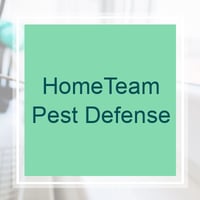 11 Best Pest Control Companies In Myrtle Beach Sc Exterminators