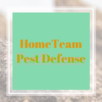 11 Best Pest Control Companies In Moncks Corner Sc Exterminators