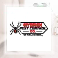 11 Best Pest Control Companies In Torrance Ca Exterminators