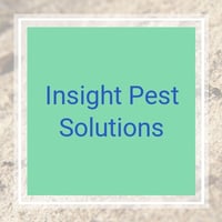 11 Best Pest Control Companies In Norristown Pa Exterminators