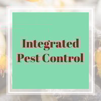21 Best Pest Control Services In Saint Louis Mo Exterminators