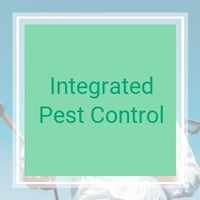 11 Best Pest Control Companies In Toledo Oh Exterminators