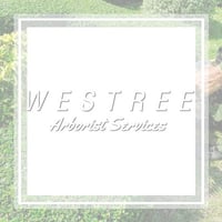 11 Best Tree Care Services In North Bend Wa Tree Removal