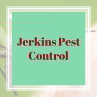 11 Best Pest Control Companies In Aubrey Tx Exterminators