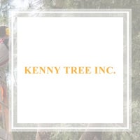 11 Best Tree Care Services In Snohomish Wa Tree Removal