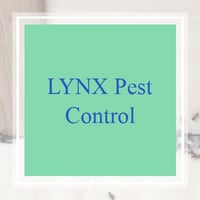 10 Best Pest Control Services In Round Rock Tx Exterminators