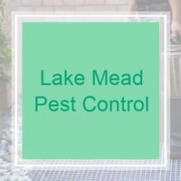 18 Best Pest Control Services In Henderson Nv Exterminators