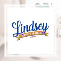 10 Best Pest Control Services In Jacksonville Fl Exterminators