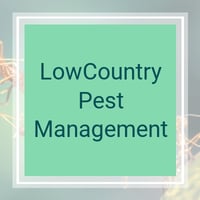 11 Best Pest Control Companies In Mount Pleasant Sc Exterminators