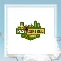 11 Best Pest Control Companies In Detroit Mi Exterminators