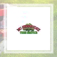 Hernandez Tree Service Richmond Va inspire ideas 2022