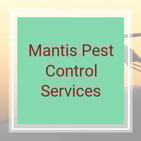 10 Best Pest Control Services In Kissimmee Fl Exterminators