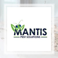 10 Best Pest Control Services In Lees Summit Mo Exterminators