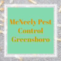 11 Best Pest Control Companies In Greensboro Nc Exterminators