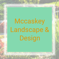 Mccakeyho krajina a dizajn