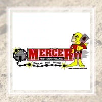 10 Best Pest Control Services In Apopka Fl Exterminators