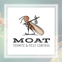 11 Best Pest Control Companies In Menifee Ca Exterminators