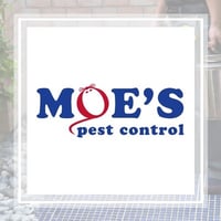 10 Best Pest Control Services In Eden Prairie Mn Exterminators