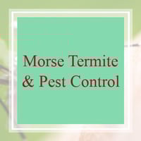 11 Best Pest Control Companies In Clovis Ca Exterminators