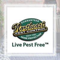 10 Best Pest Control Services In Montgomery Tx Exterminators