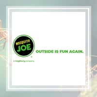 10 Best Pest Control Services In Richmond Va Exterminators