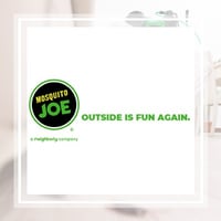 10 Best Pest Control Services In Holly Springs Nc Exterminators