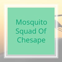 10 Best Pest Control Services in Norfolk, VA | Exterminators