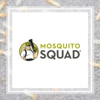 10 Best Pest Control Services In Hurst Tx Exterminators