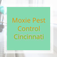 Moxie Pest Control Columbus Ohio Reviews : Read our ...