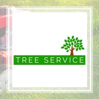 10 Best Tree Care Services In Minneapolis Mn Tree Trimming